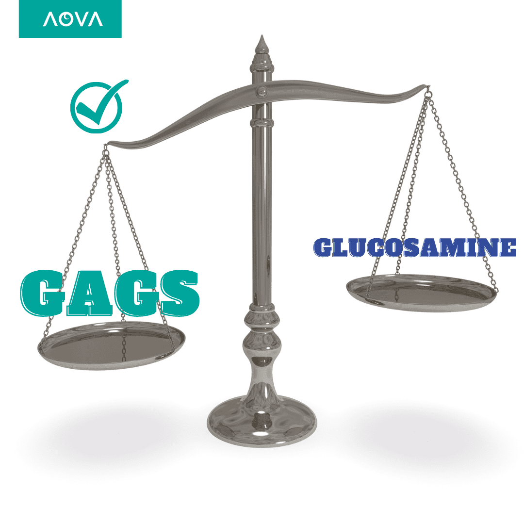 Gags_vs_Glucosamine